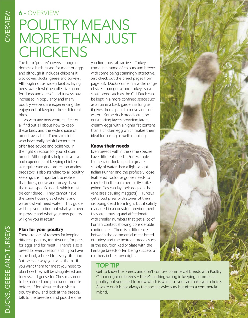 Practical Poultry Preview Pages