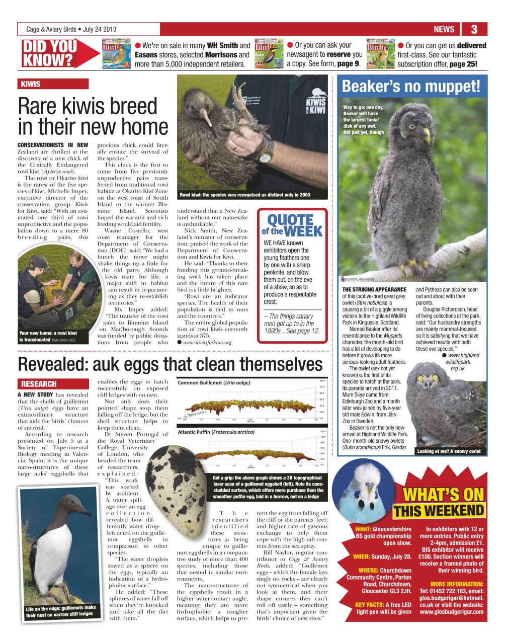 Cage & Aviary Birds Preview Pages