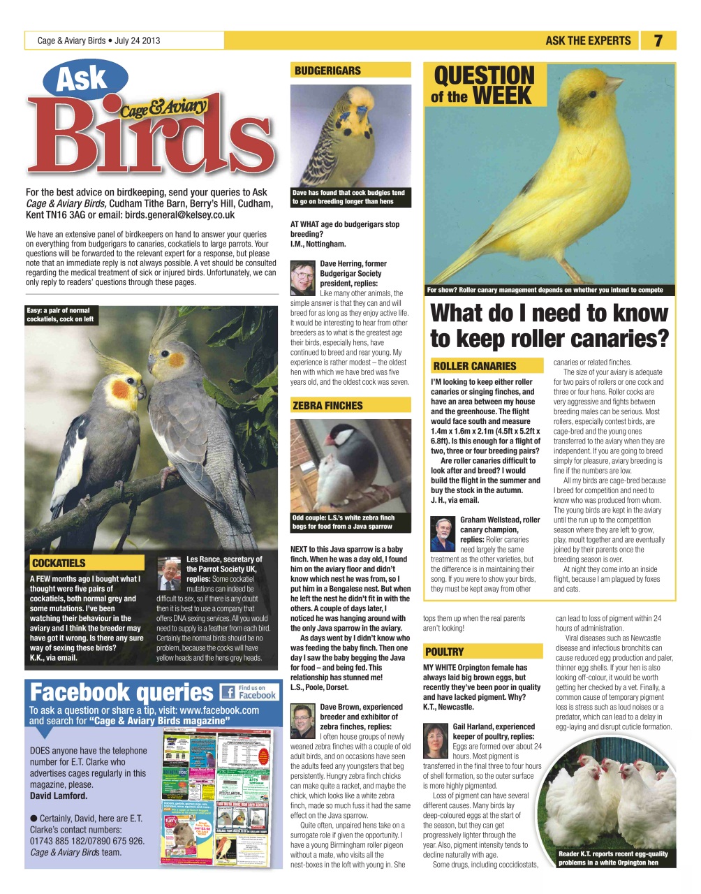Cage & Aviary Birds Preview Pages