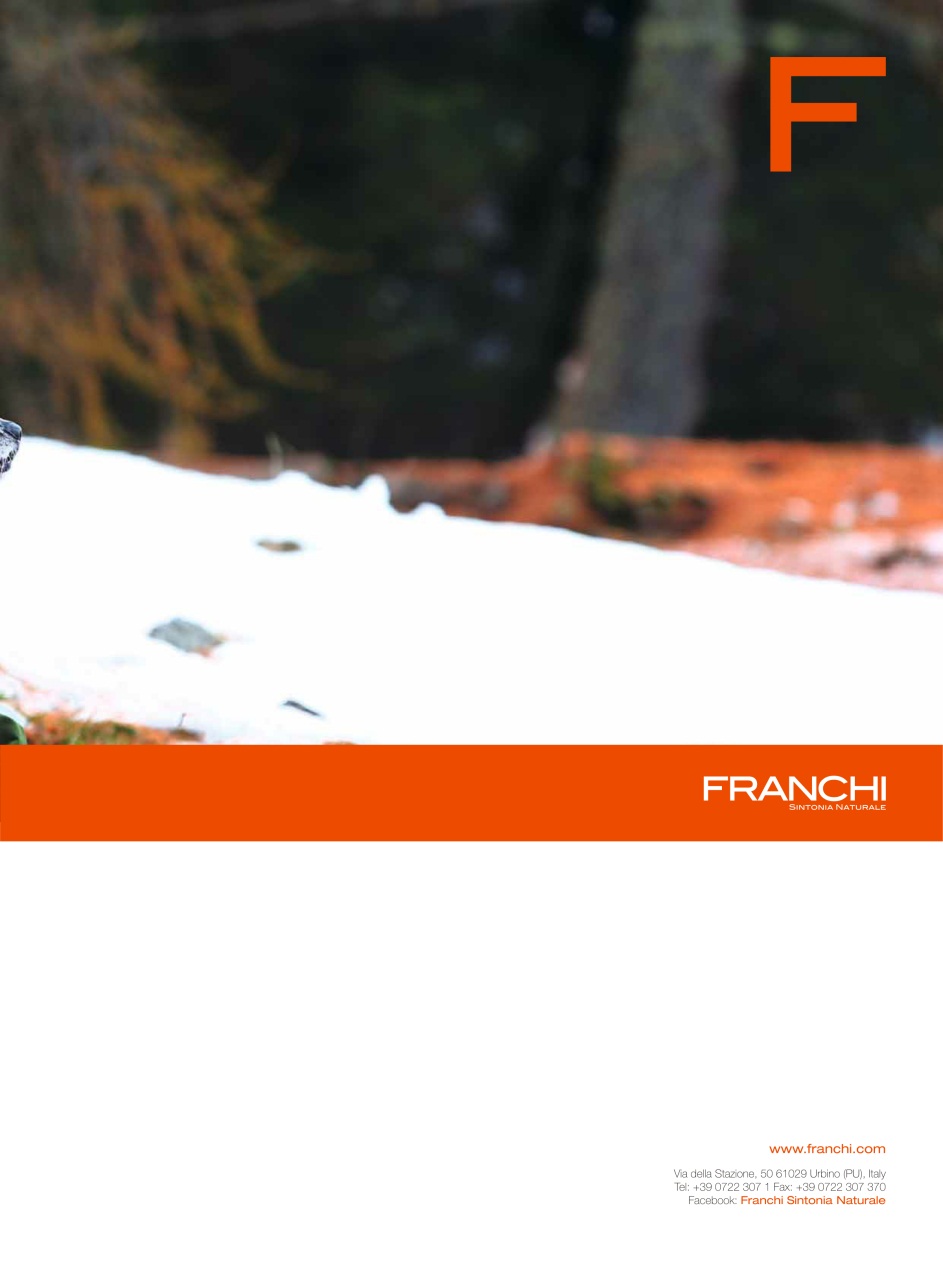 Armi E Tiro Preview Pages