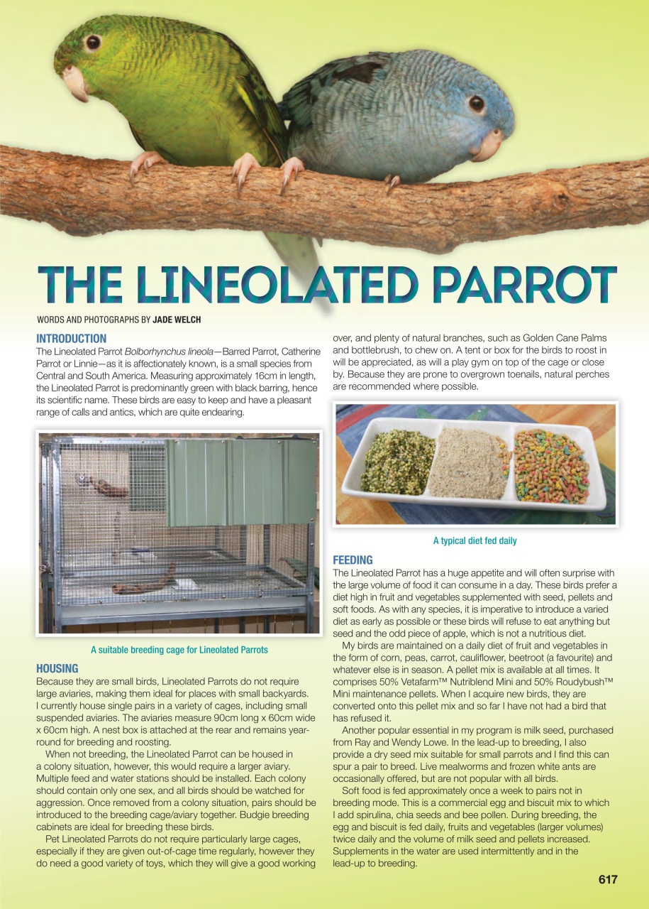 Australian Birdkeeper Magazine Preview Pages