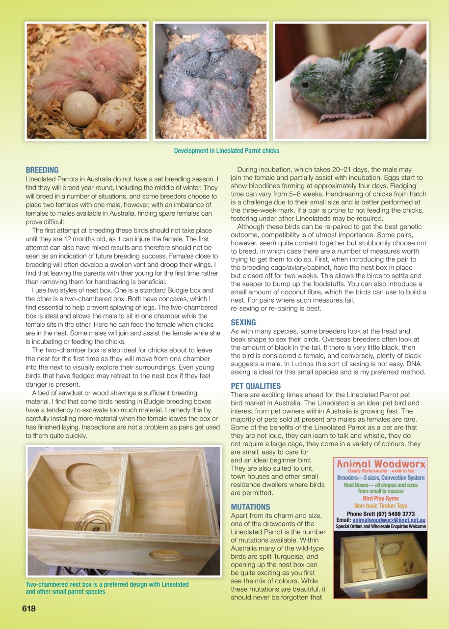 Australian Birdkeeper Magazine Preview Pages