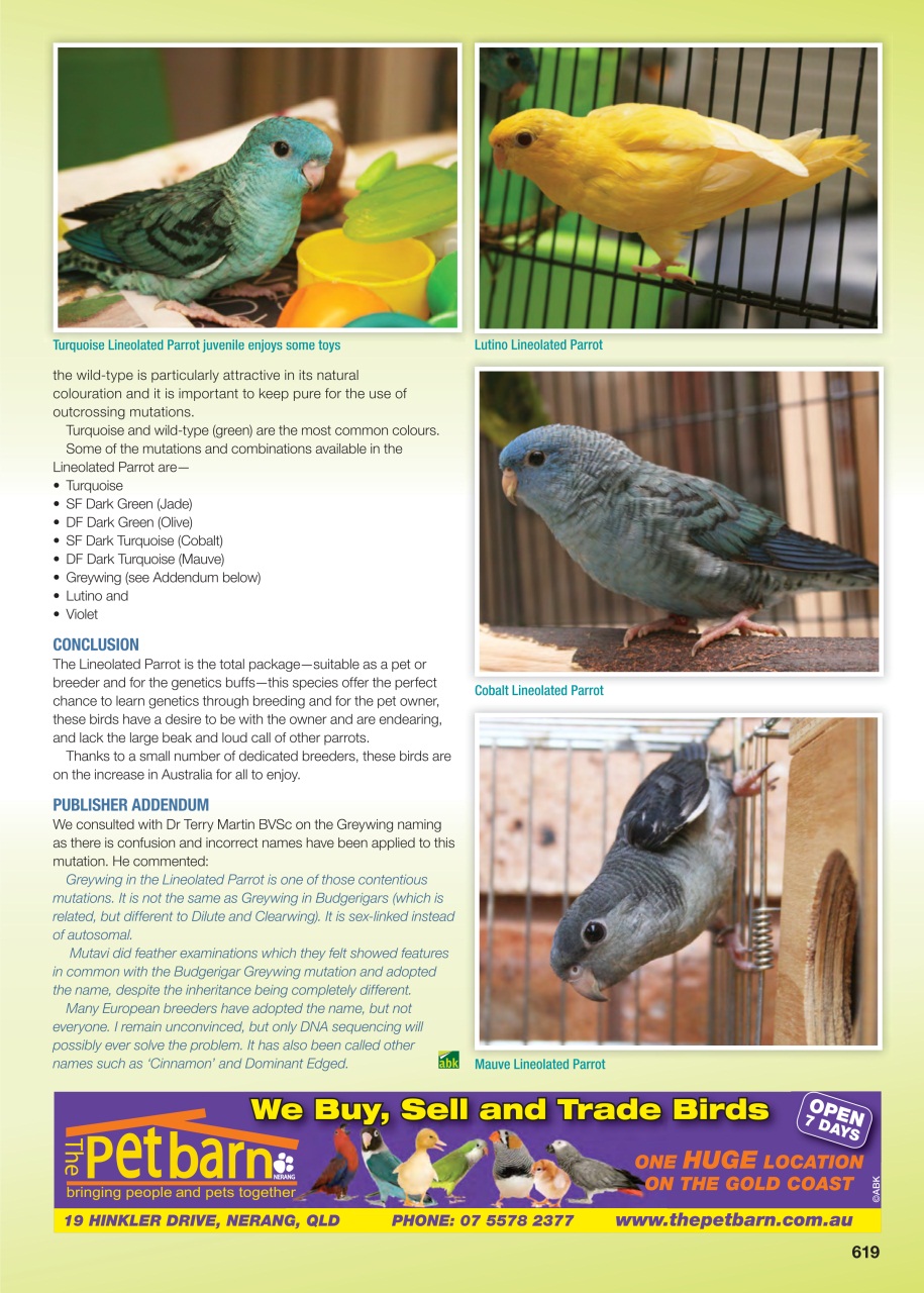 Australian Birdkeeper Magazine Preview Pages