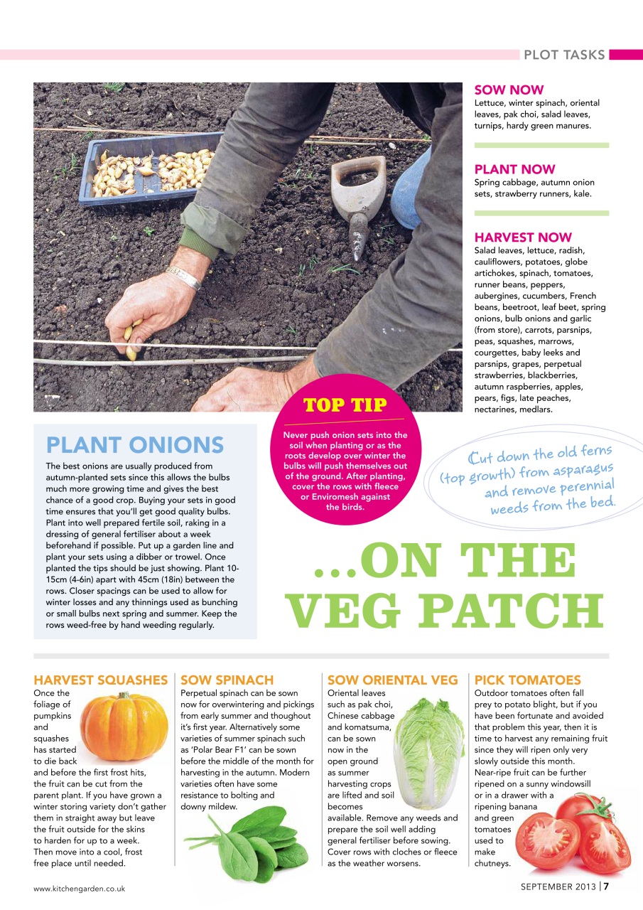 Kitchen Garden Magazine Preview Pages