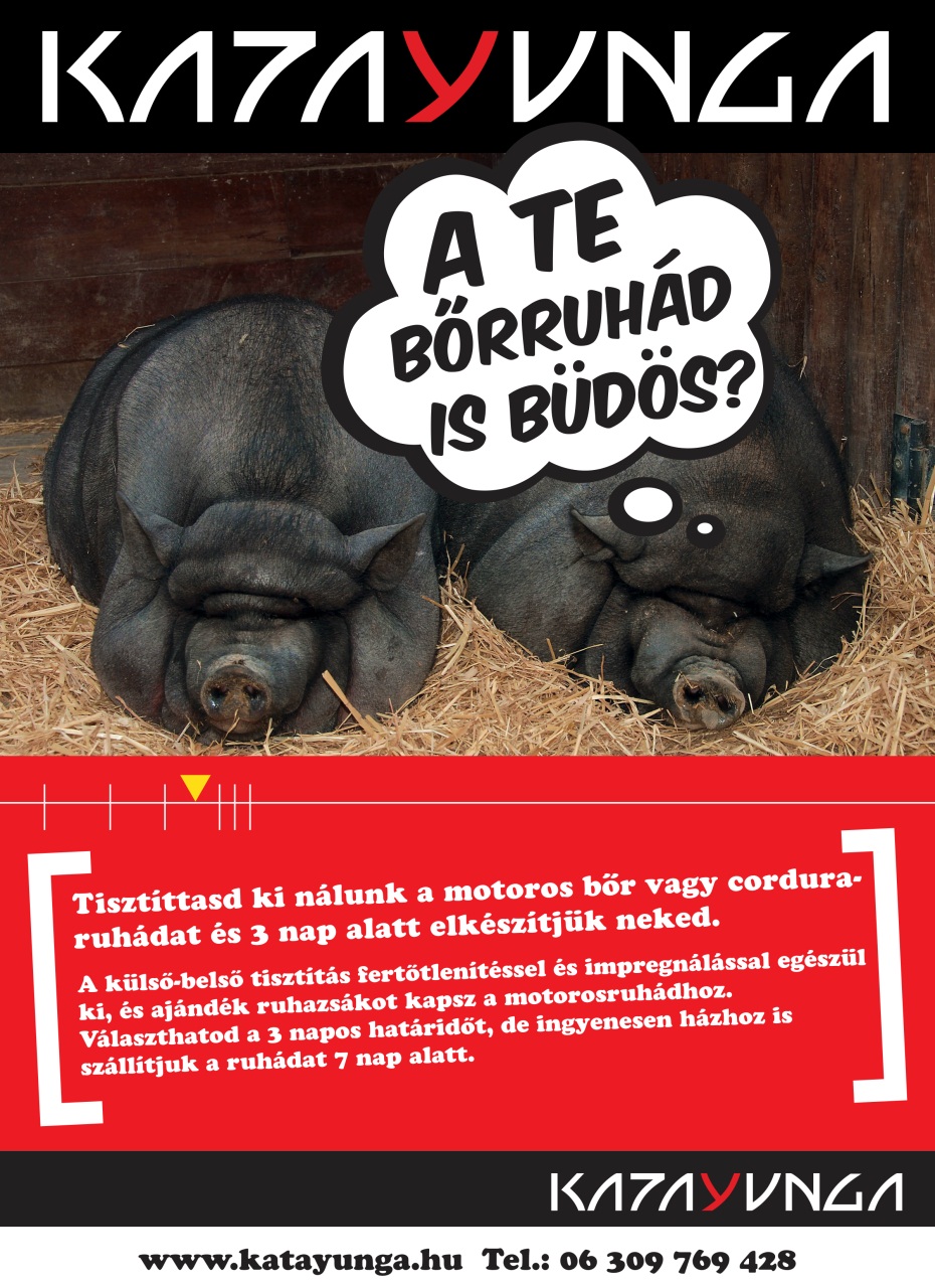 SuperBike Hungary Preview Pages