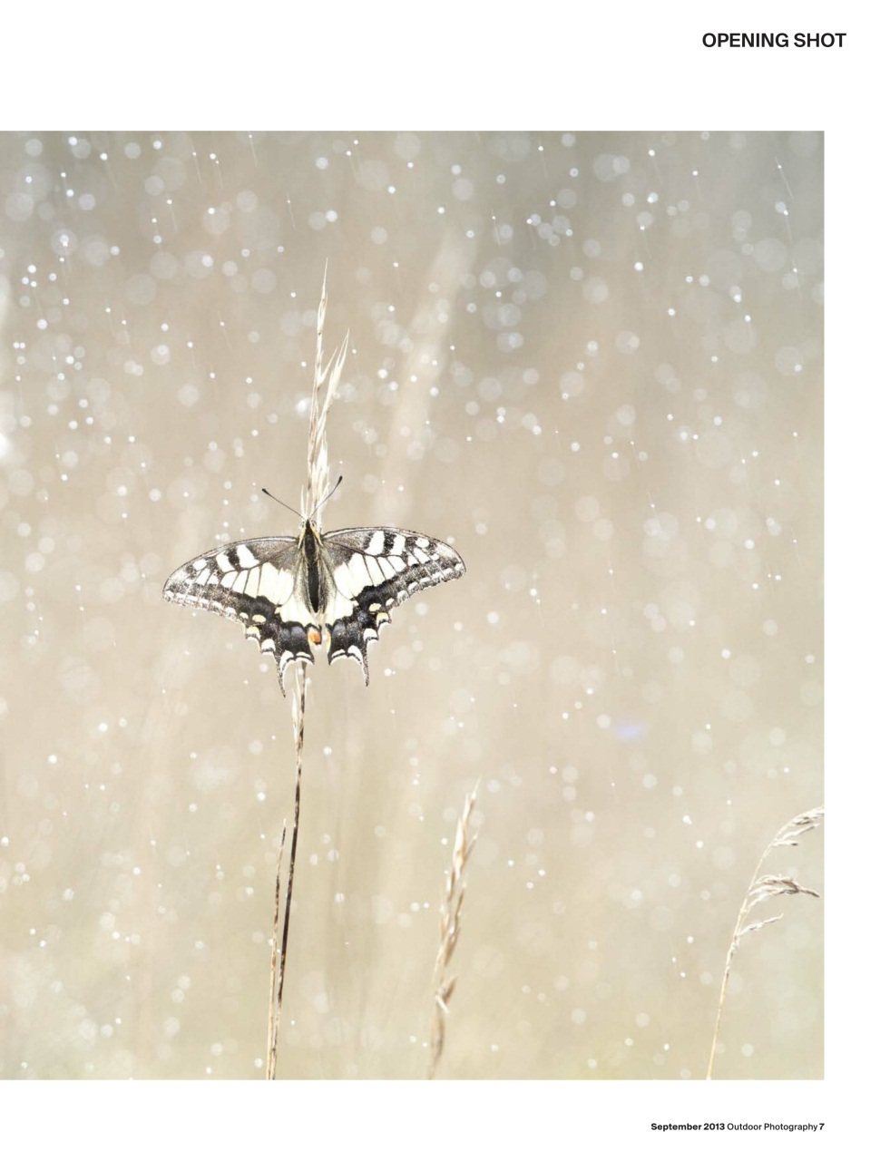 Outdoor Photography Preview Pages