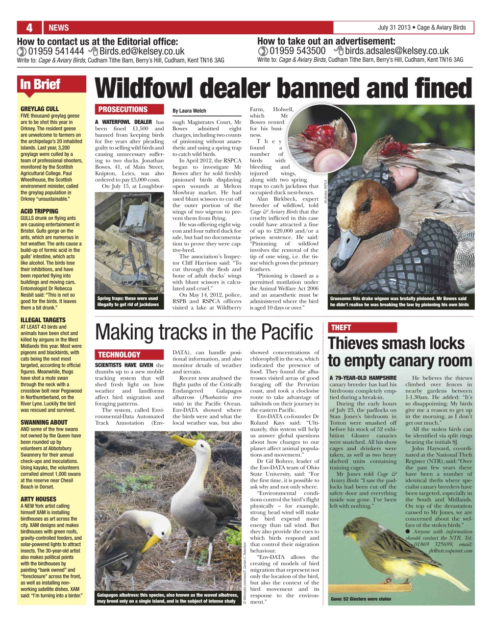 Cage & Aviary Birds Preview Pages