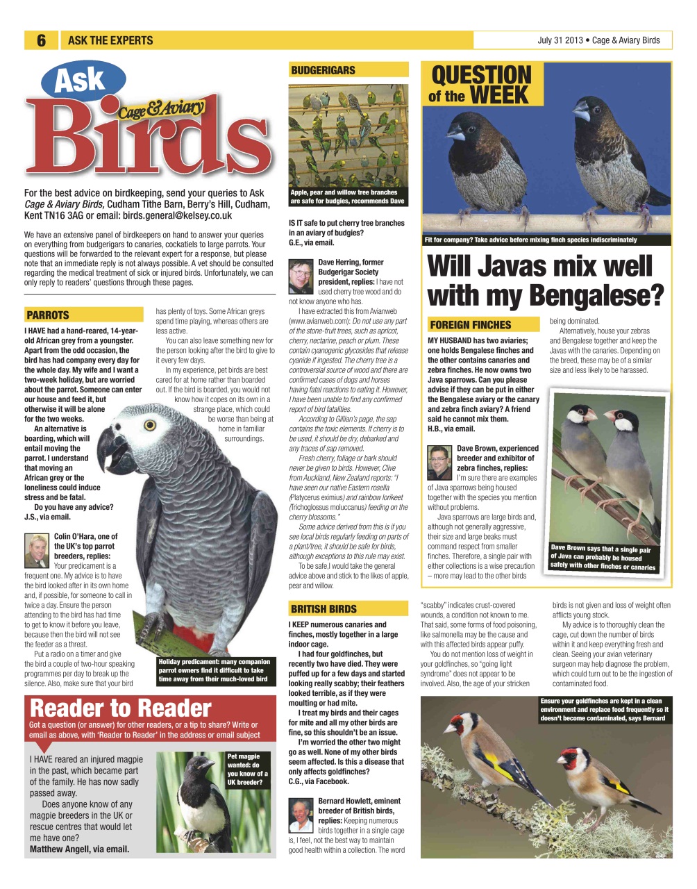 Cage & Aviary Birds Preview Pages