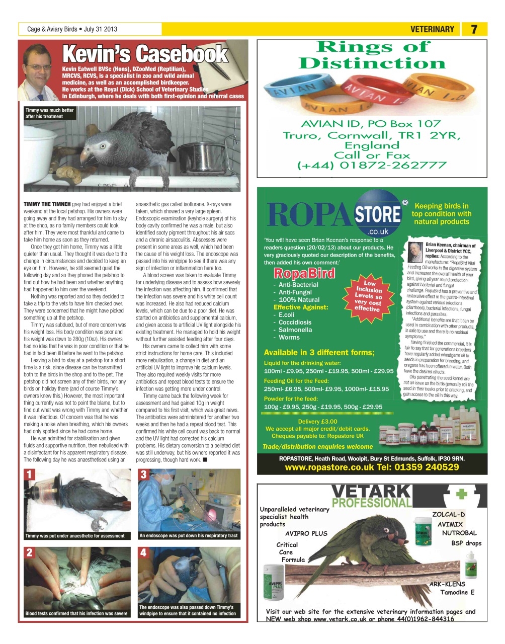 Cage & Aviary Birds Preview Pages