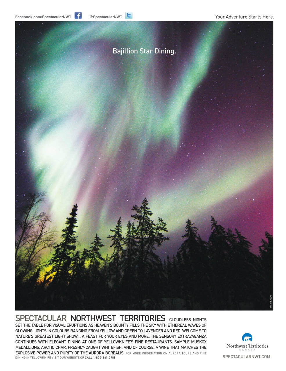 Taste & Travel International Preview Pages