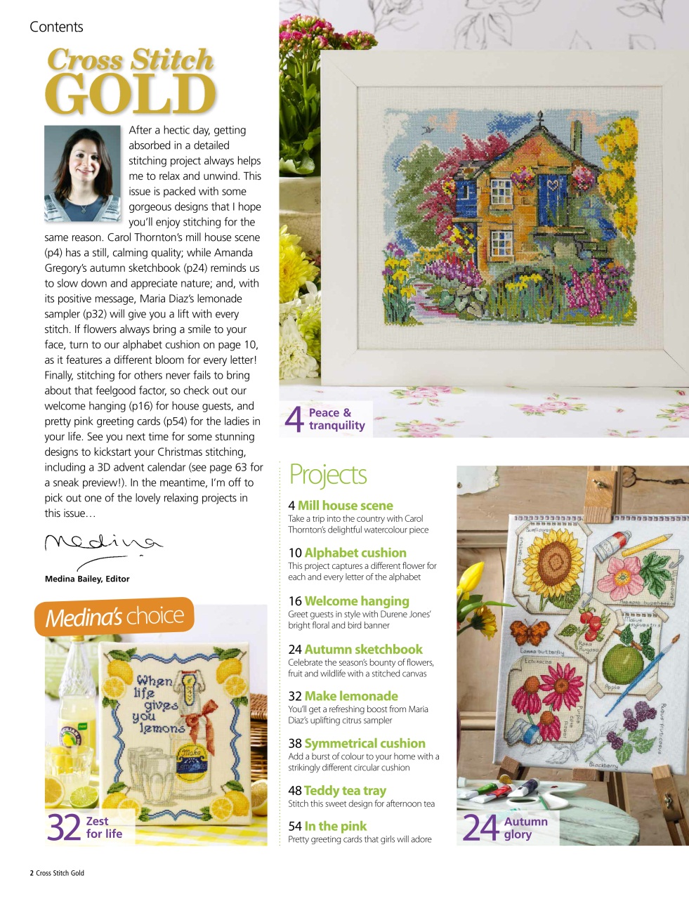 Cross Stitch Gold Preview Pages