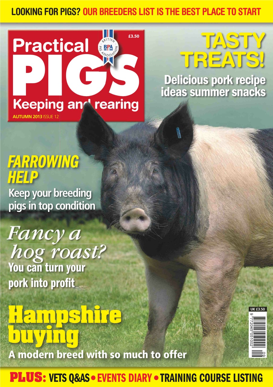 Practical Pigs Preview Pages