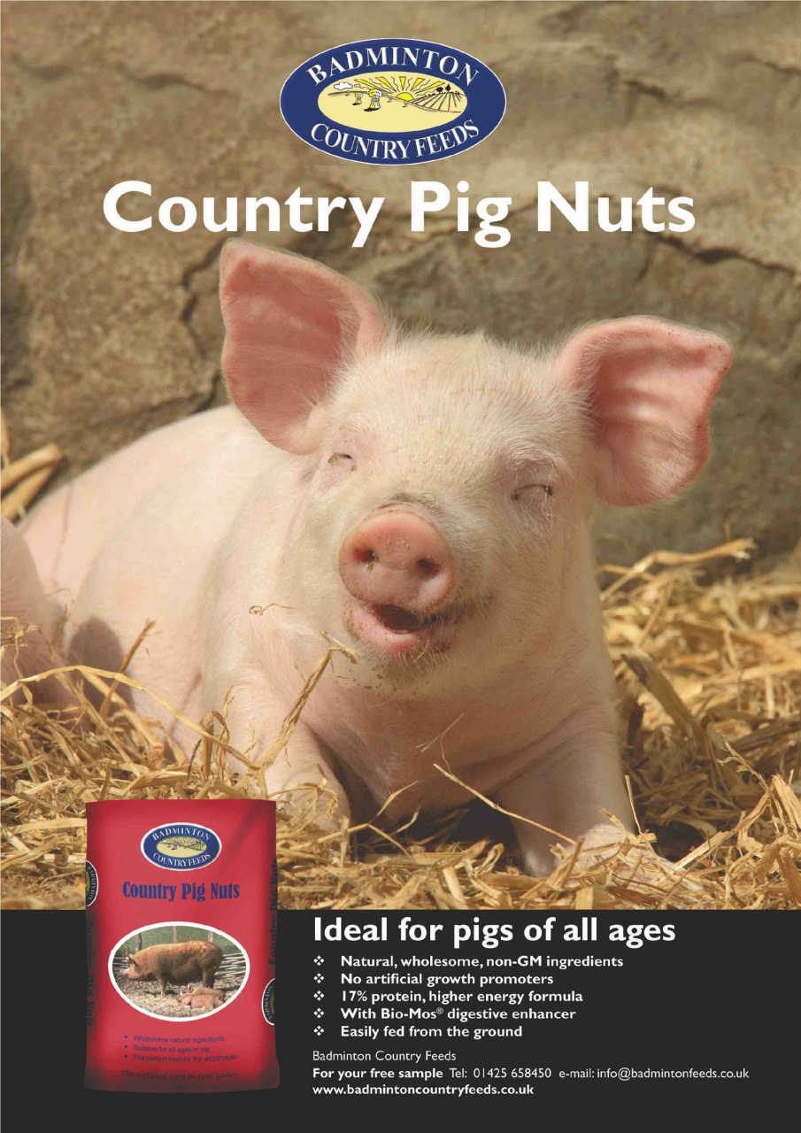 Practical Pigs Preview Pages