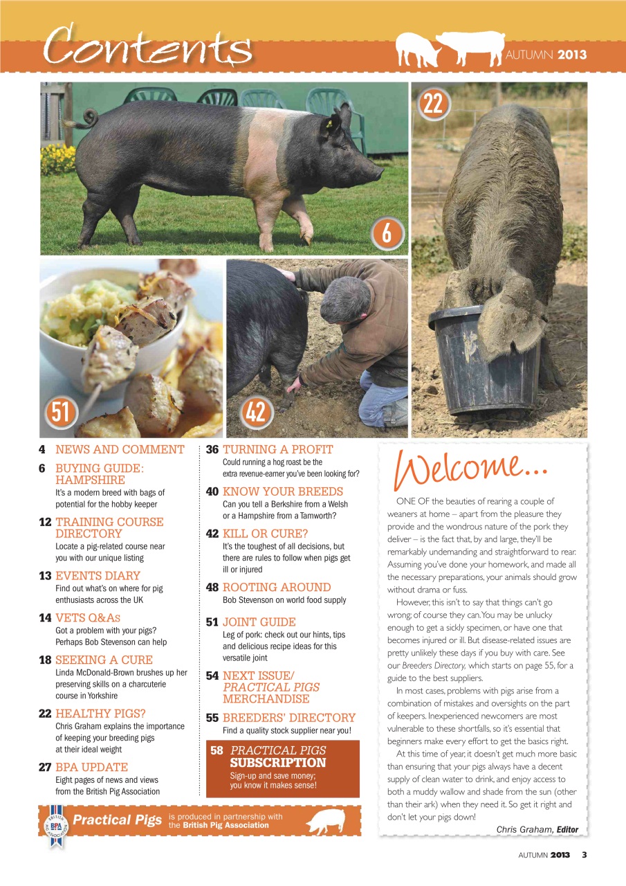 Practical Pigs Preview Pages
