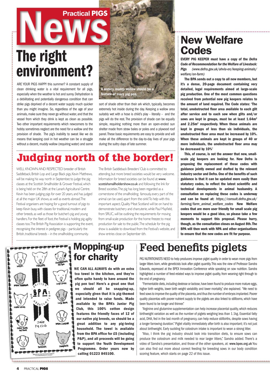 Practical Pigs Preview Pages