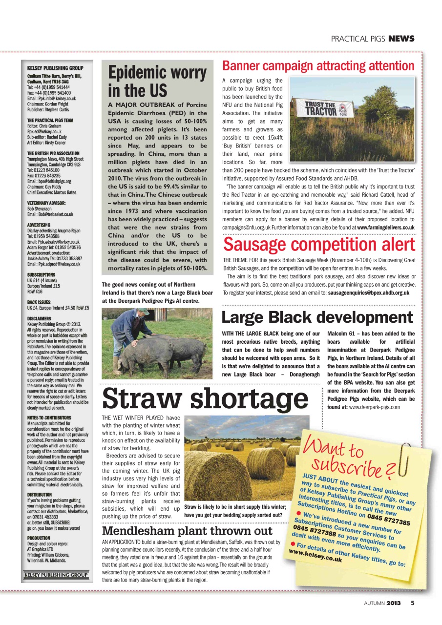 Practical Pigs Preview Pages