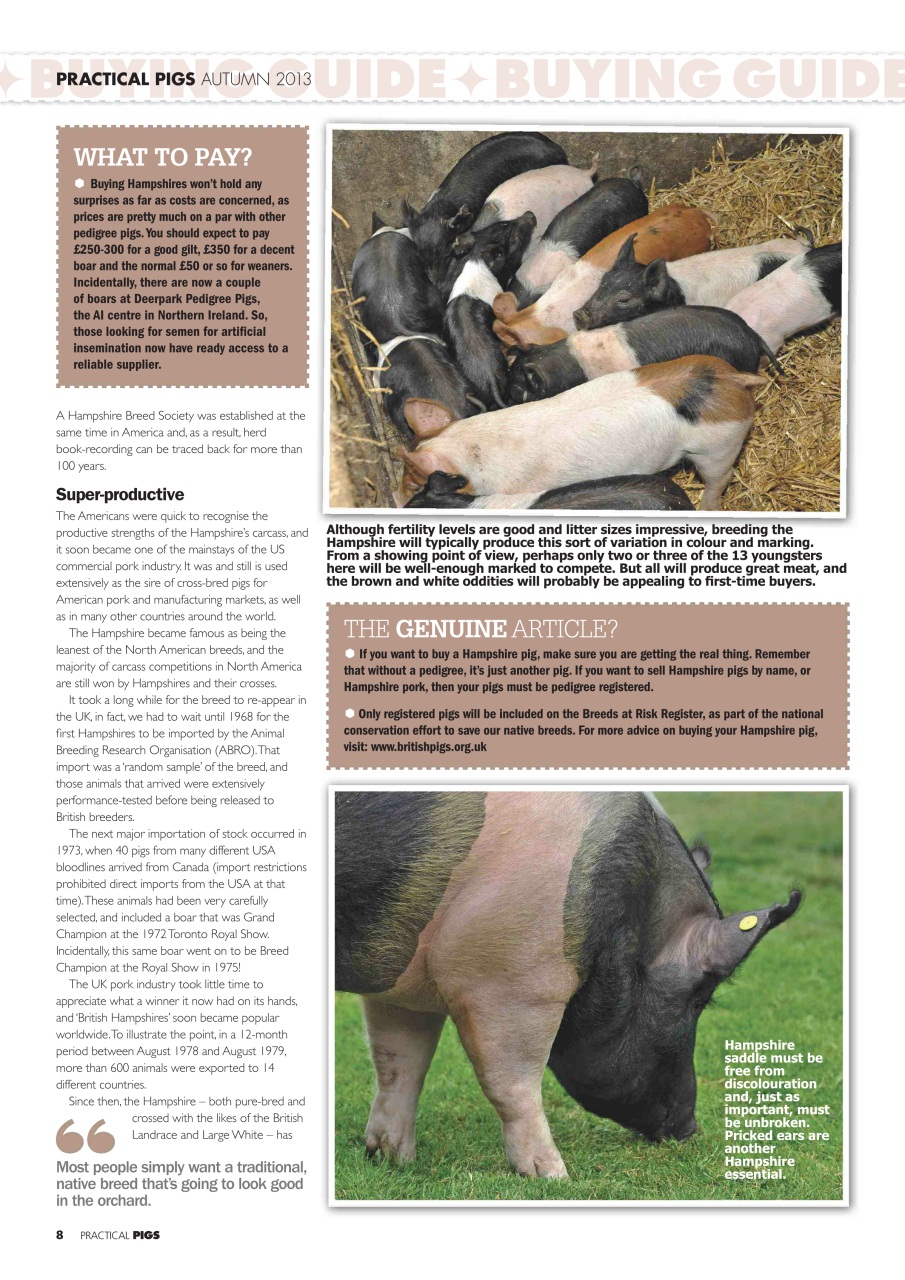 Practical Pigs Preview Pages