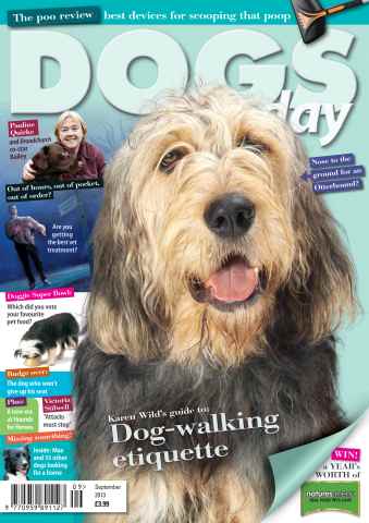 Dogs Today Magazine issue September 2013