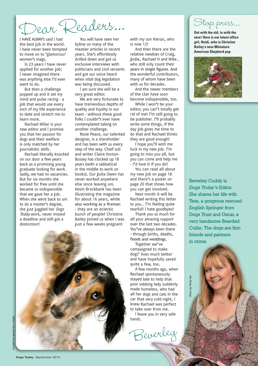 Dogs Today Magazine Preview Pages