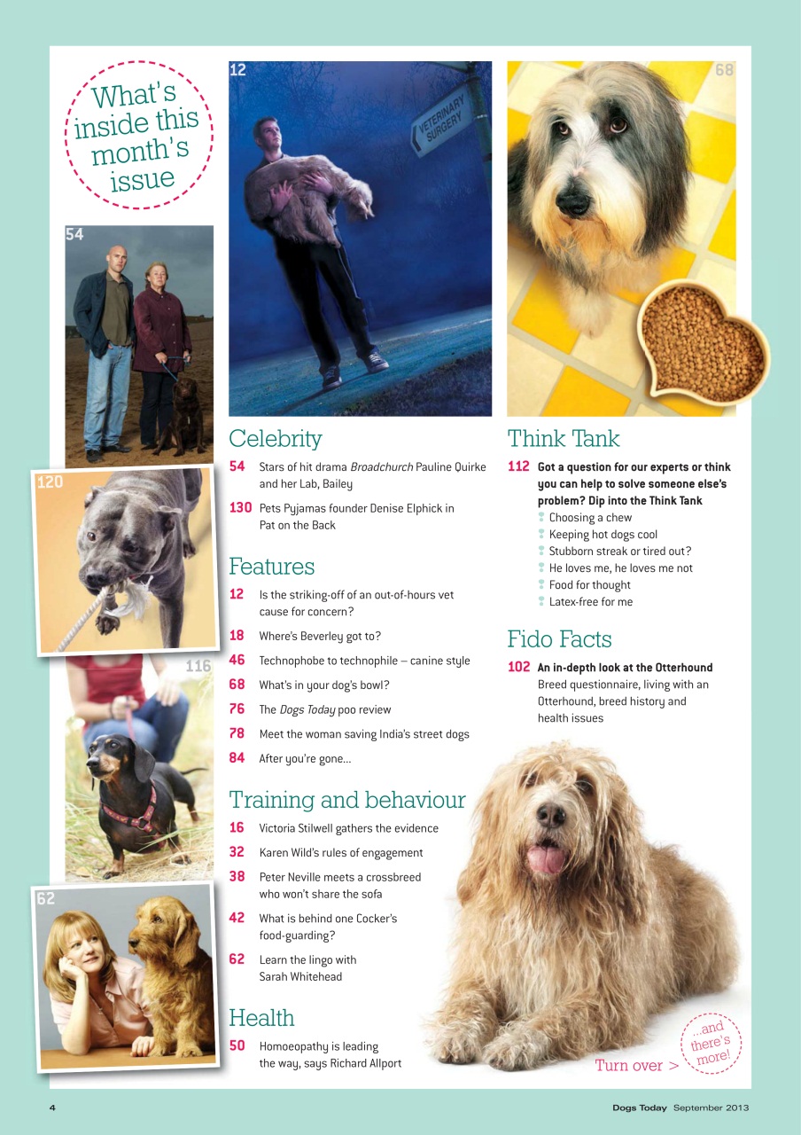 Dogs Today Magazine Preview Pages