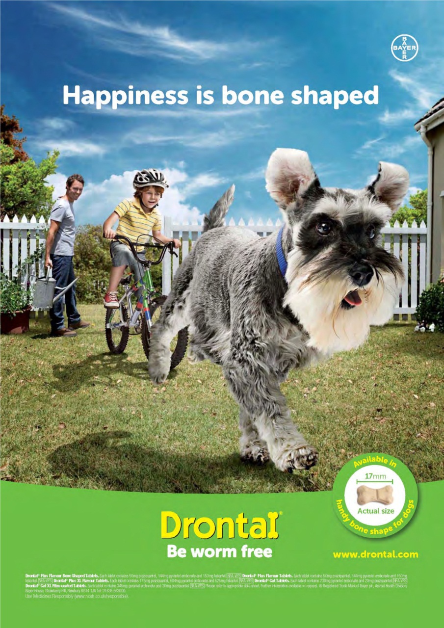 Dogs Today Magazine Preview Pages