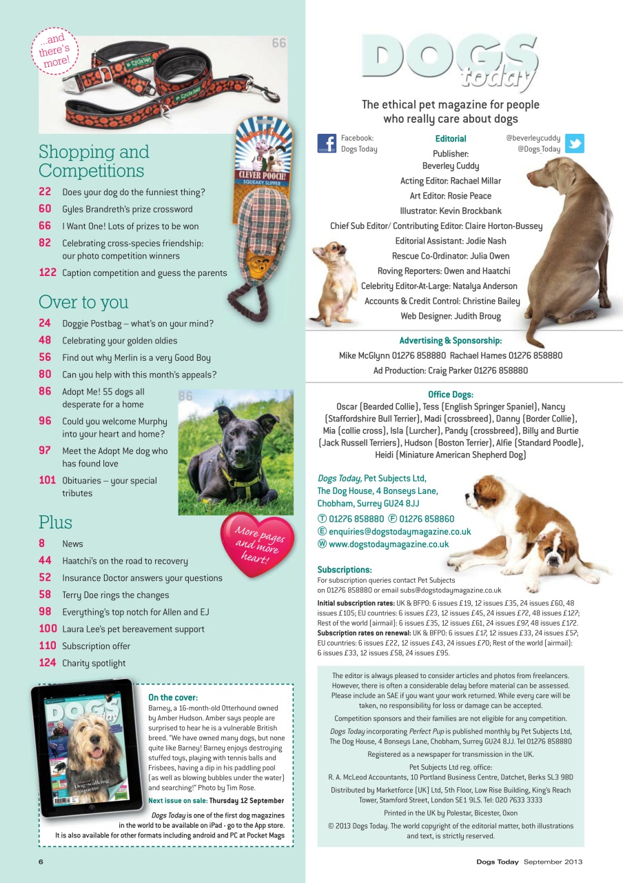 Dogs Today Magazine Preview Pages