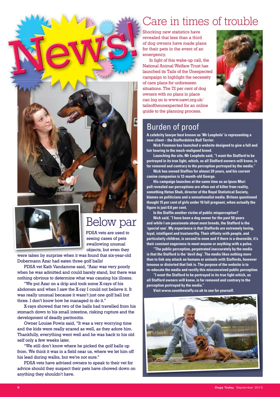 Dogs Today Magazine Preview Pages