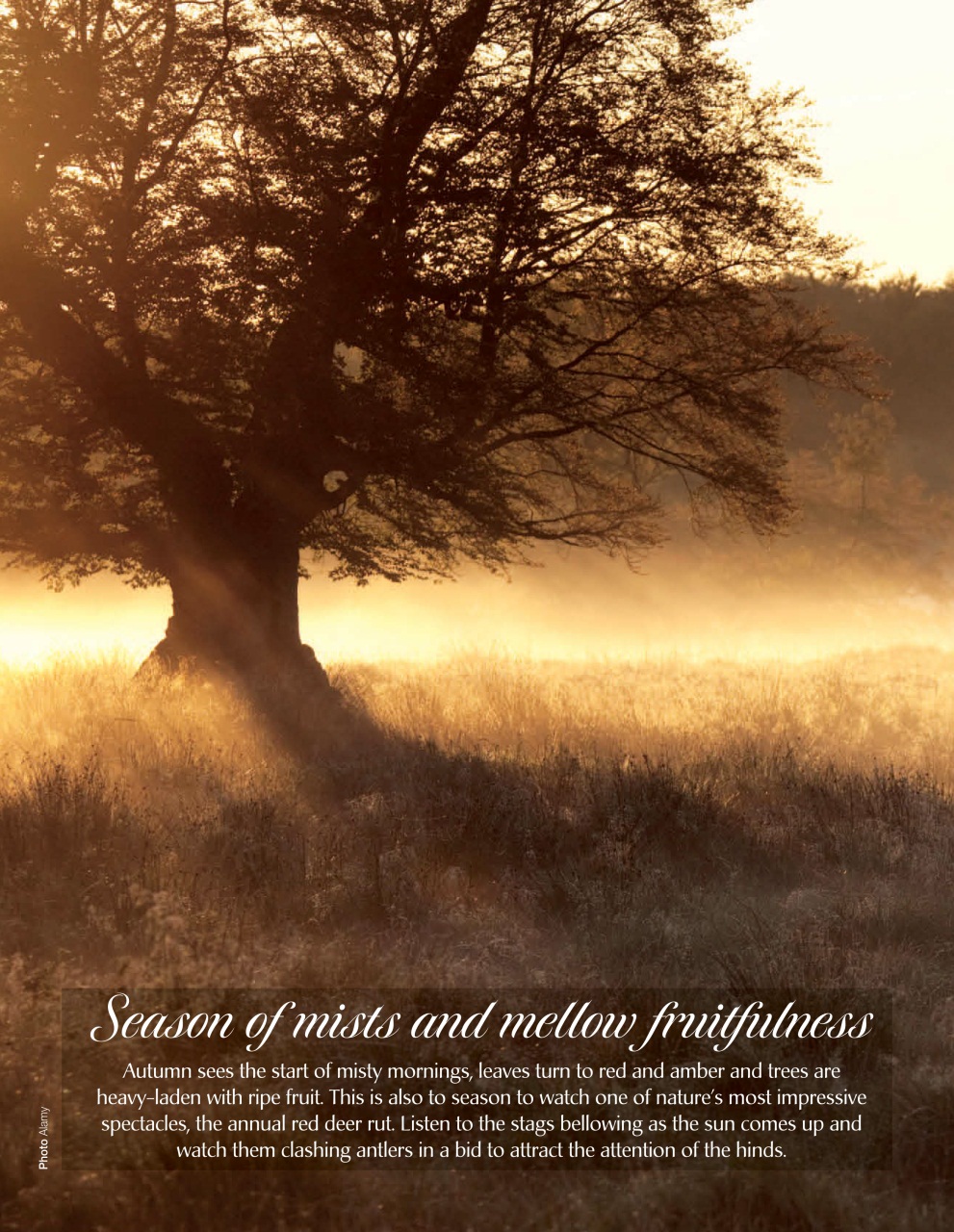 LandLove Magazine Preview Pages