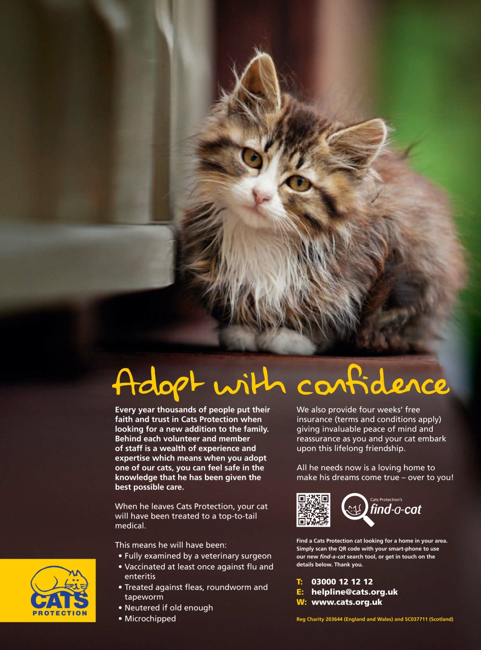 Your Home Magazine Preview Pages