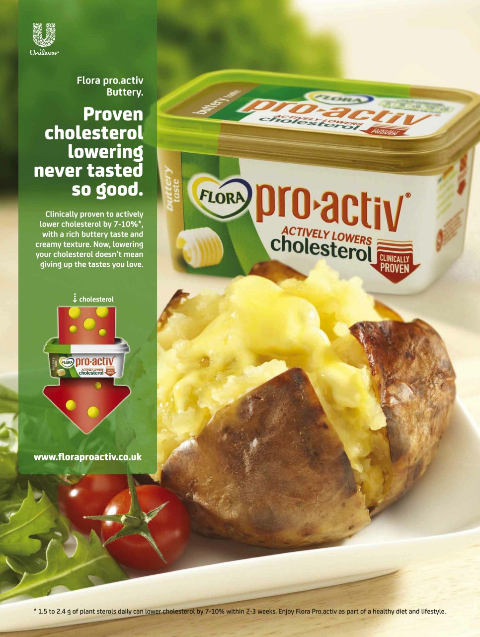 Homes & Antiques Magazine Preview Pages