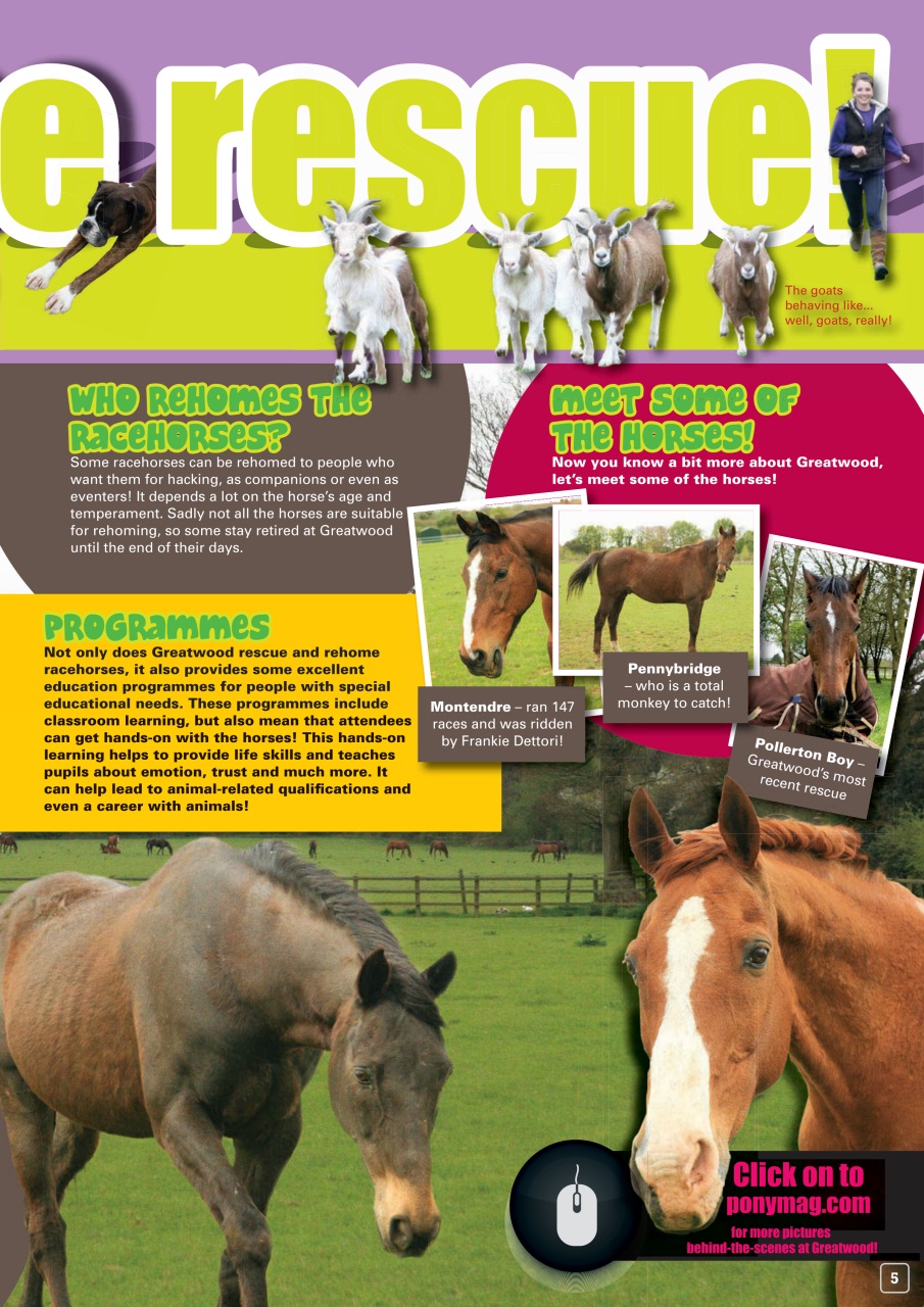 Pony Magazine Preview Pages