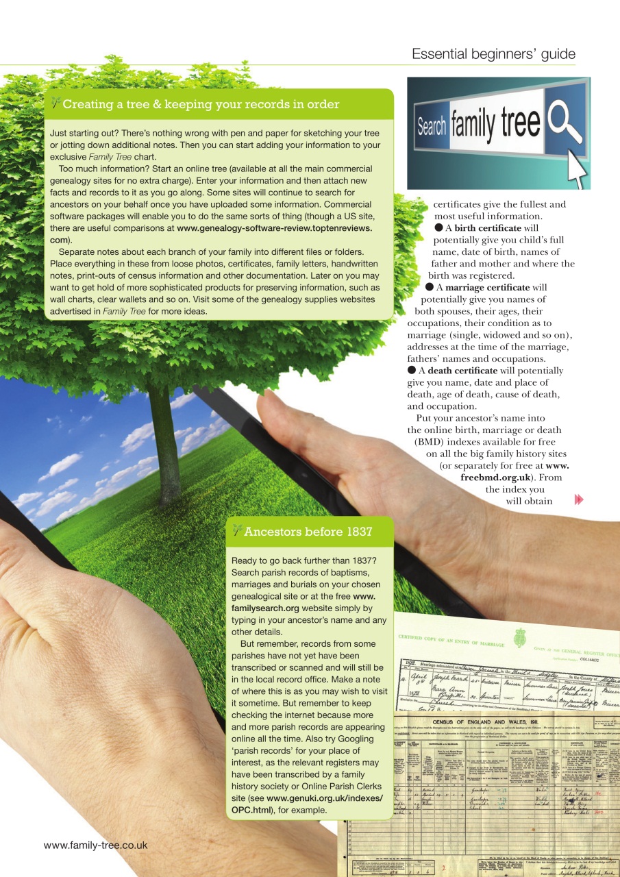 Family Tree Preview Pages