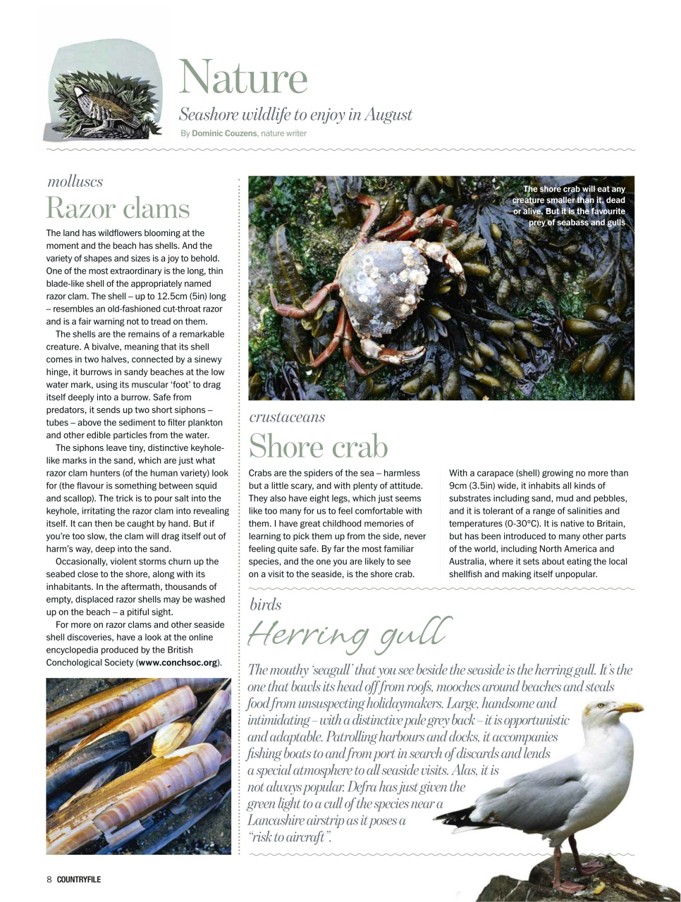 BBC Countryfile Magazine Preview Pages