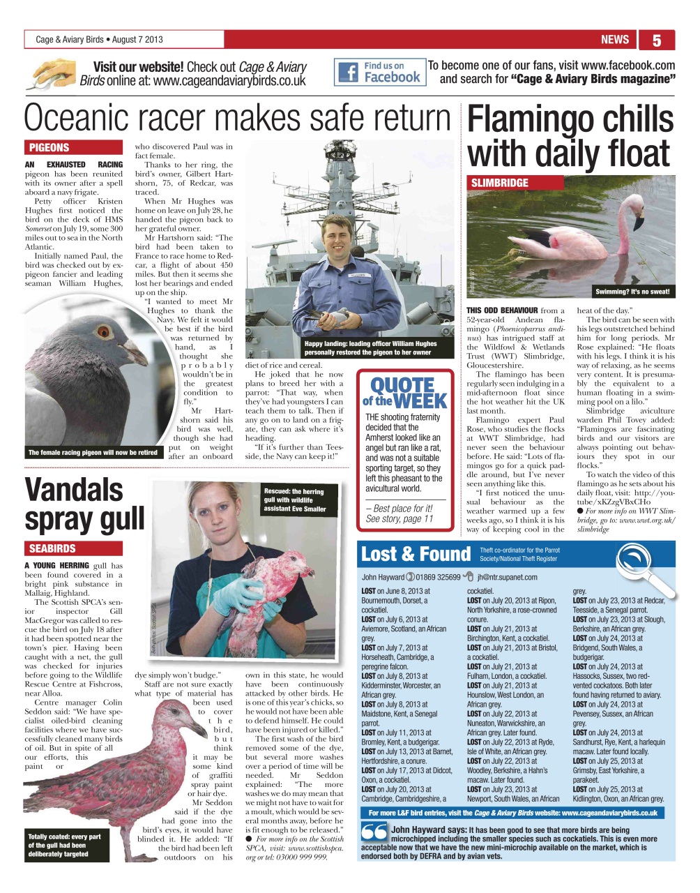 Cage & Aviary Birds Preview Pages