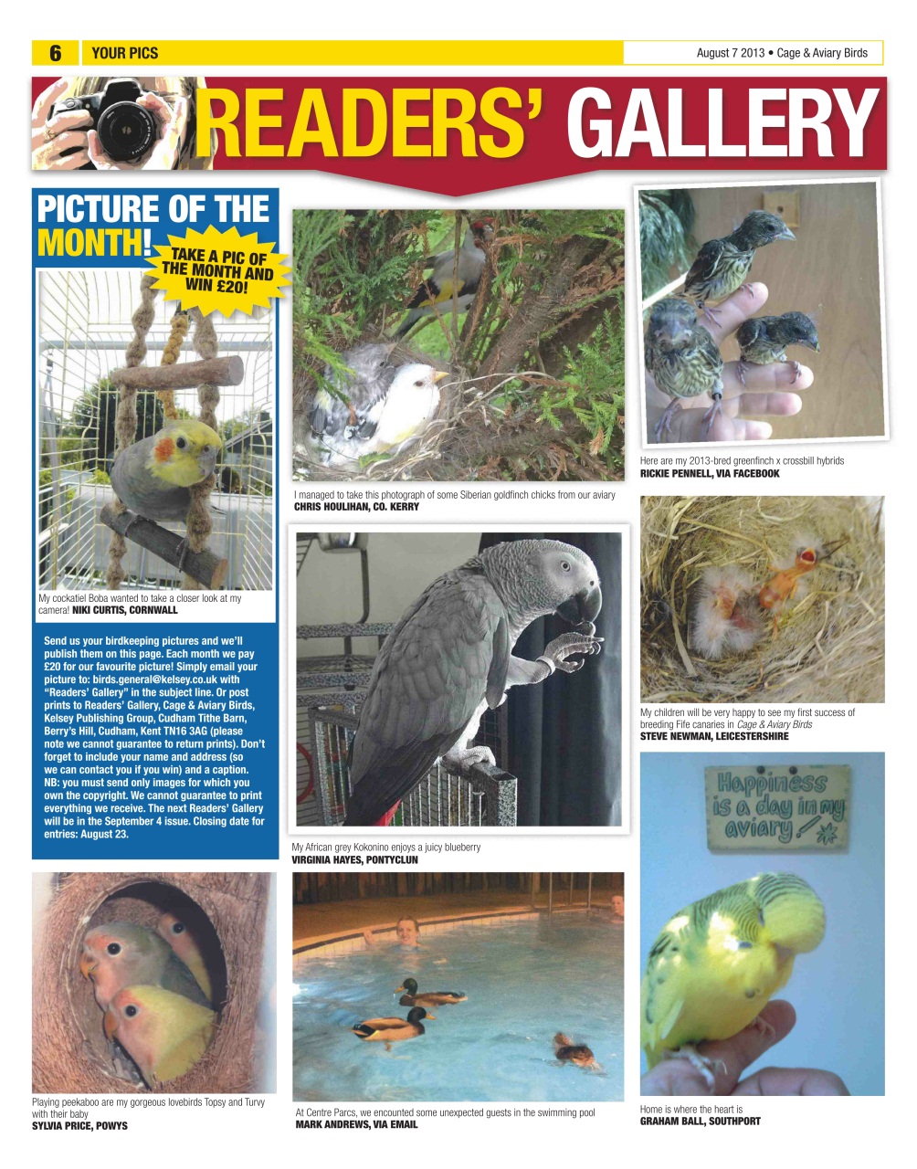 Cage & Aviary Birds Preview Pages