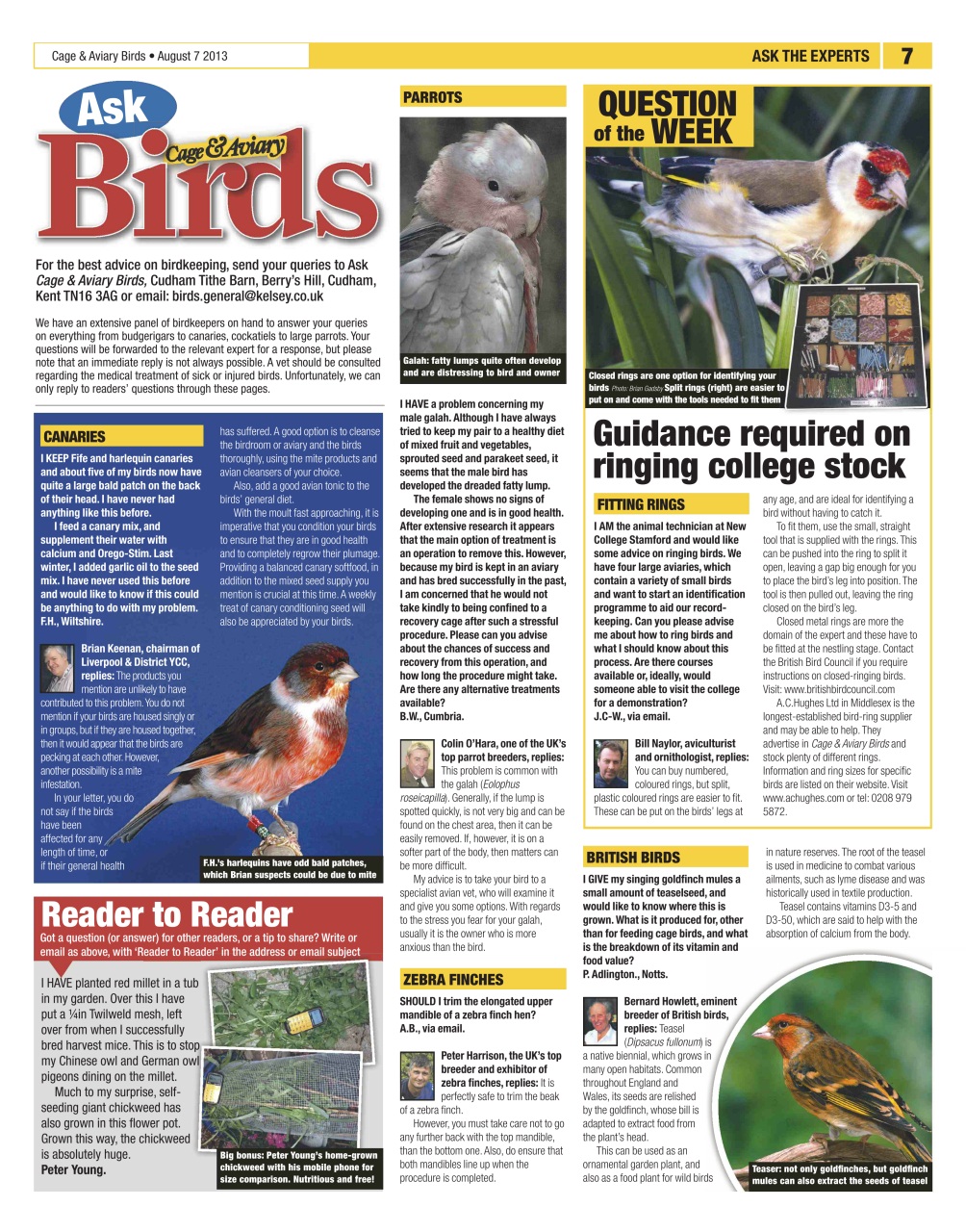 Cage & Aviary Birds Preview Pages