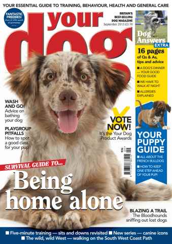 Your Dog issue Your Dog Magazine September 2013