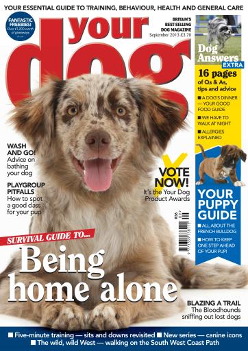 Your Dog issue 