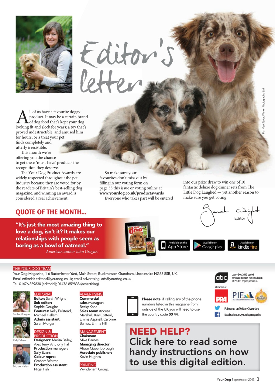 Your Dog Preview Pages