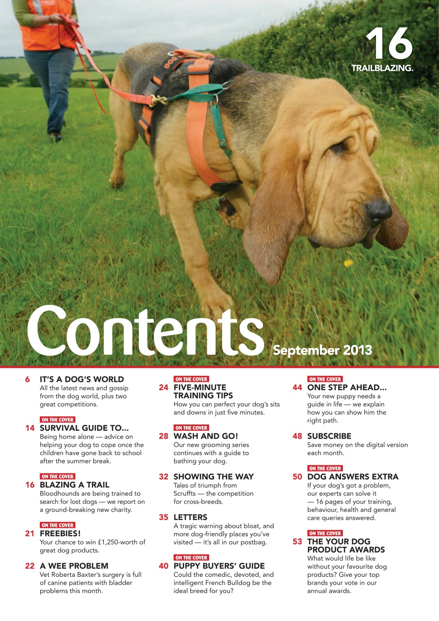 Your Dog Preview Pages