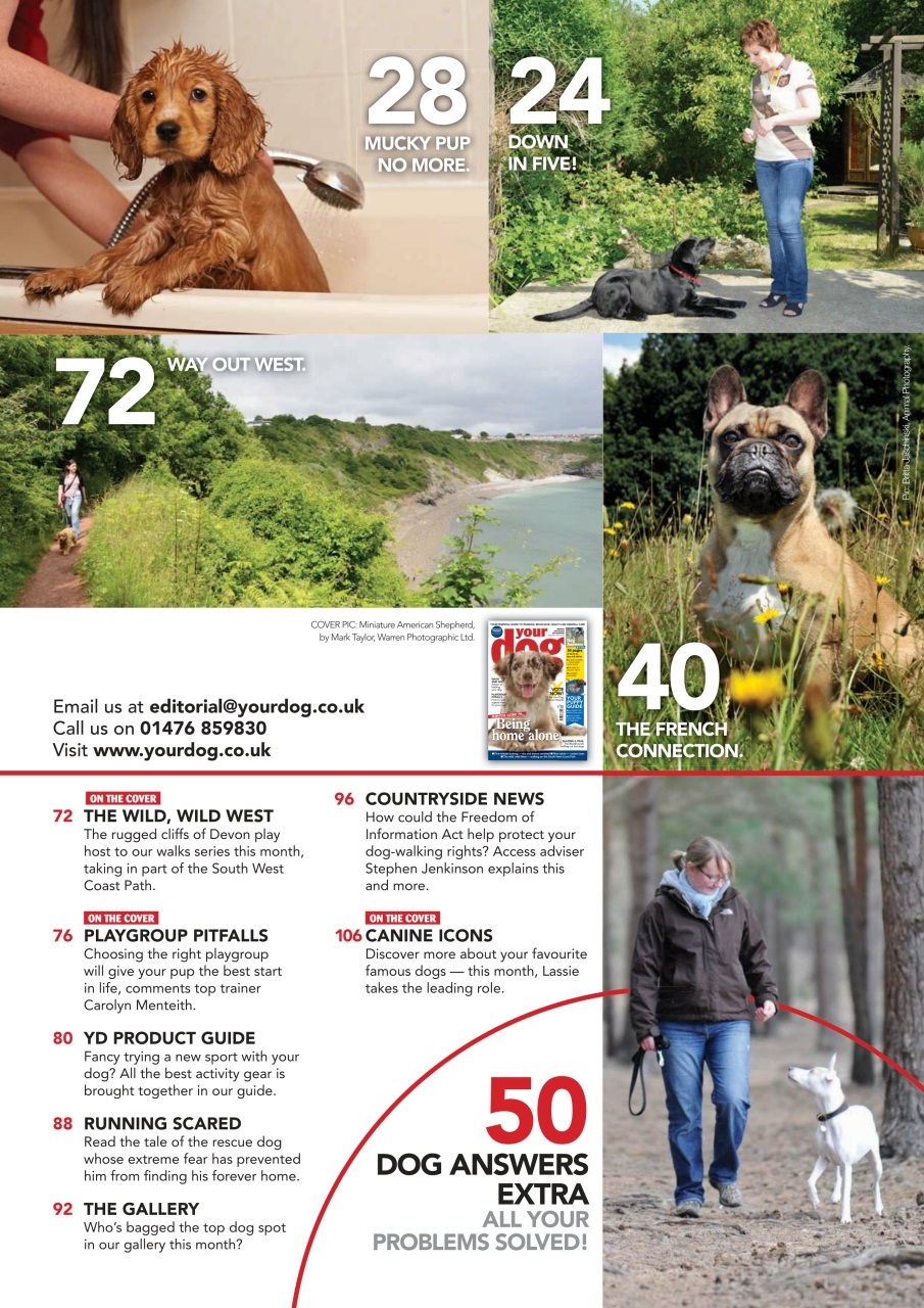 Your Dog Preview Pages