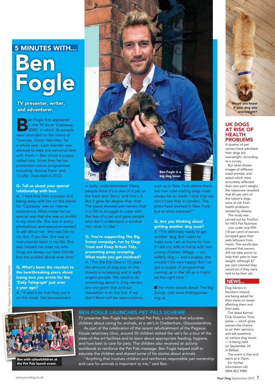 Your Dog Preview Pages