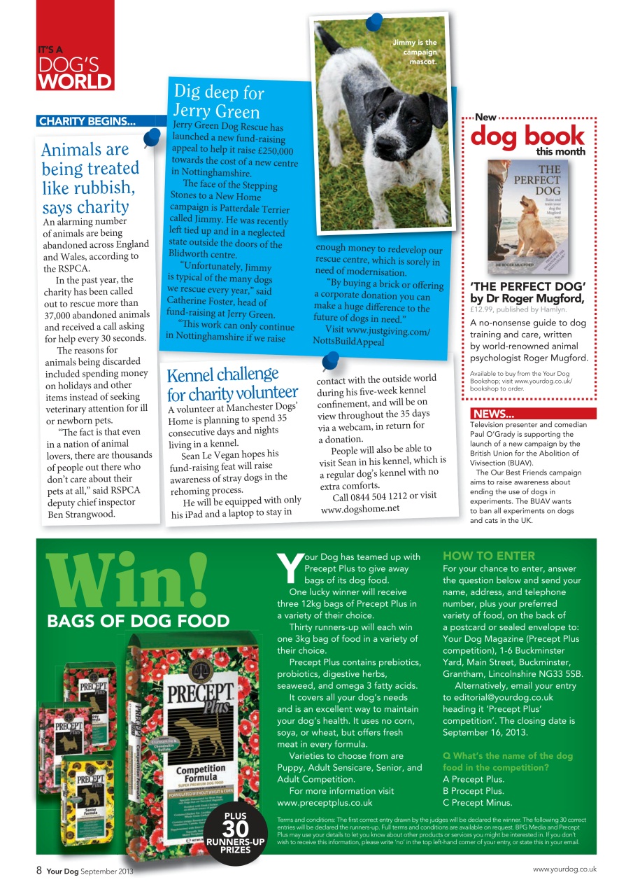 Your Dog Preview Pages