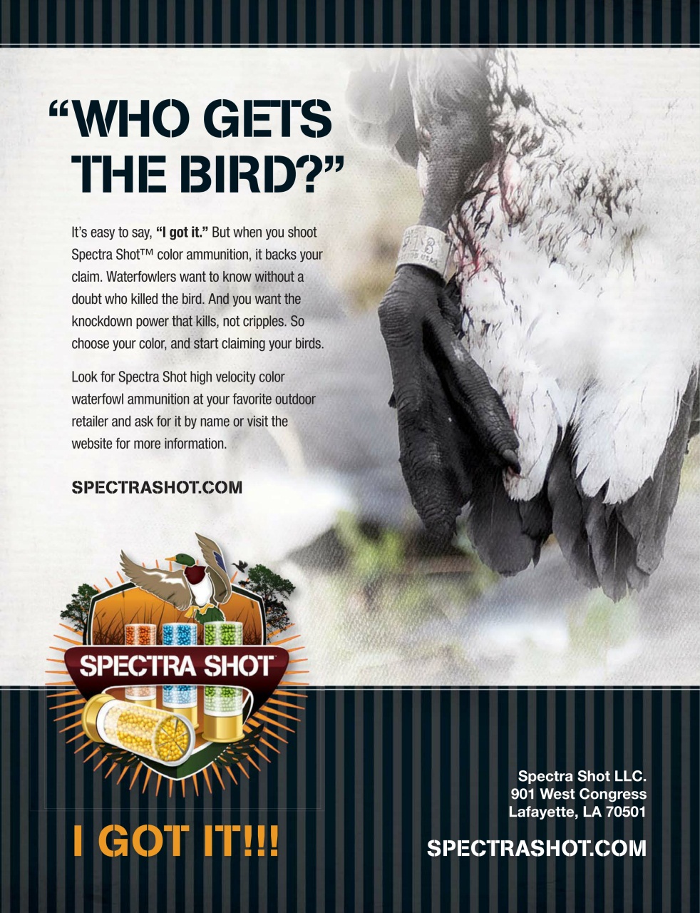 American Waterfowler Preview Pages