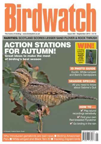 Birdwatch Magazine issue September 2013