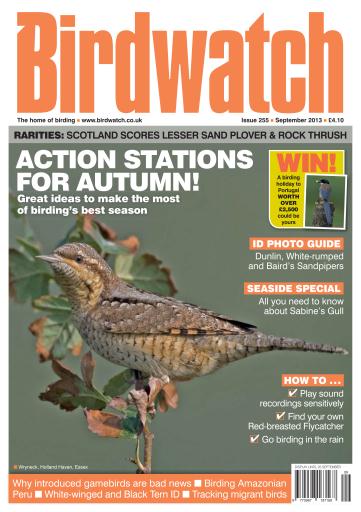 Birdwatch Magazine issue 