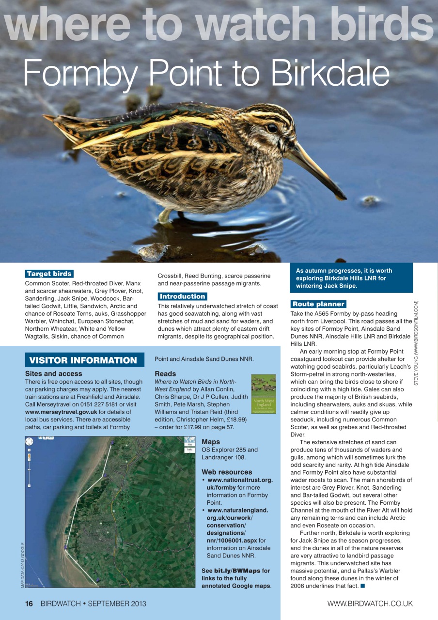 Birdwatch Magazine Preview Pages