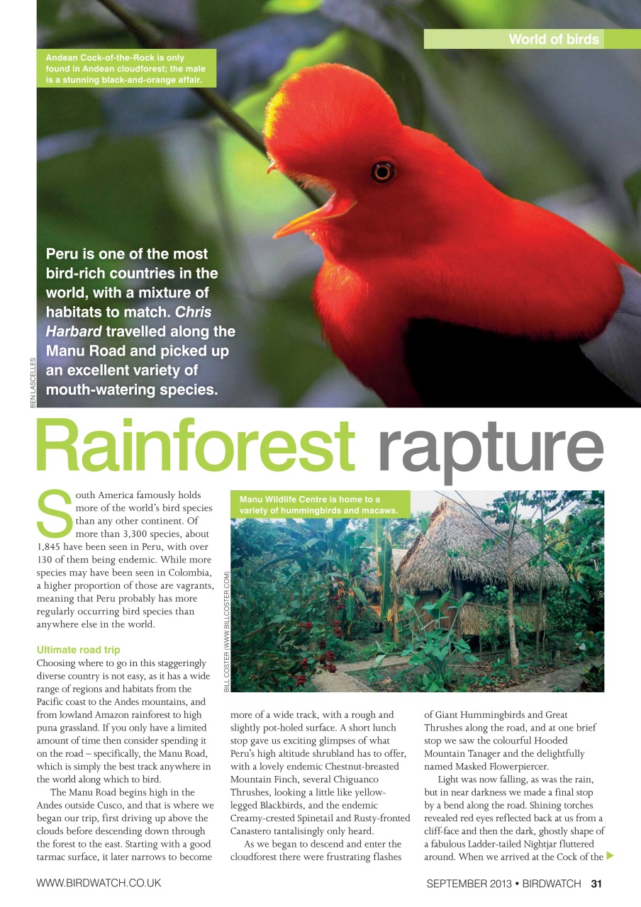Birdwatch Magazine Preview Pages