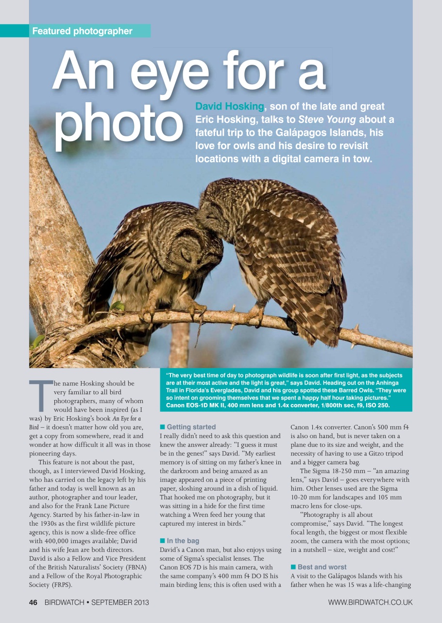 Birdwatch Magazine Preview Pages