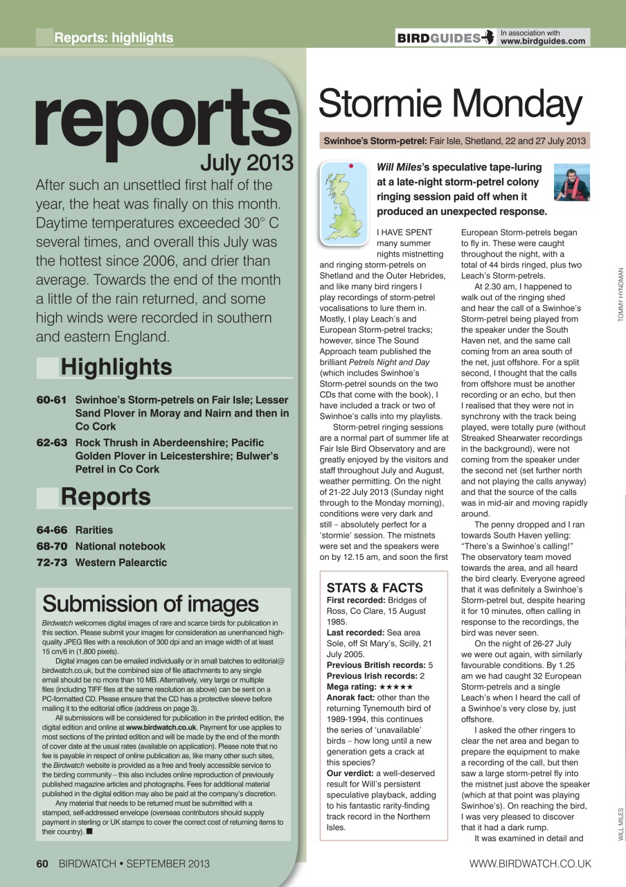 Birdwatch Magazine Preview Pages